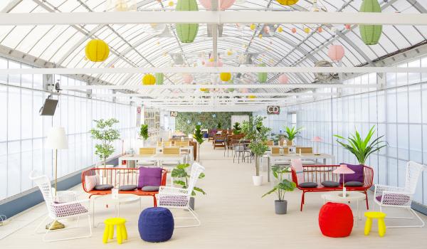 Strawberry Park Mifune