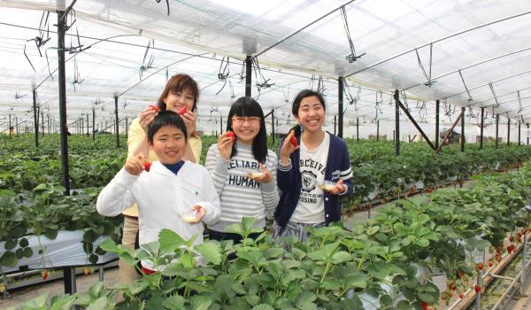 Kanko Noen Hana Hiroba