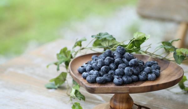 Blueberry-no-Komichi