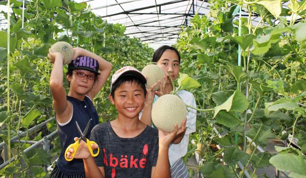 Kanko Noen Hana Hiroba