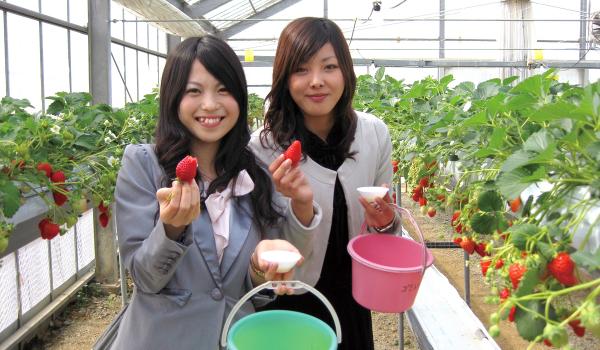 ニュー渥美観光