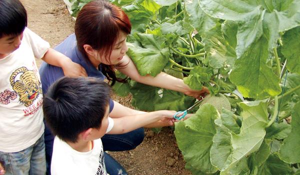 시사이드 팜 이라고