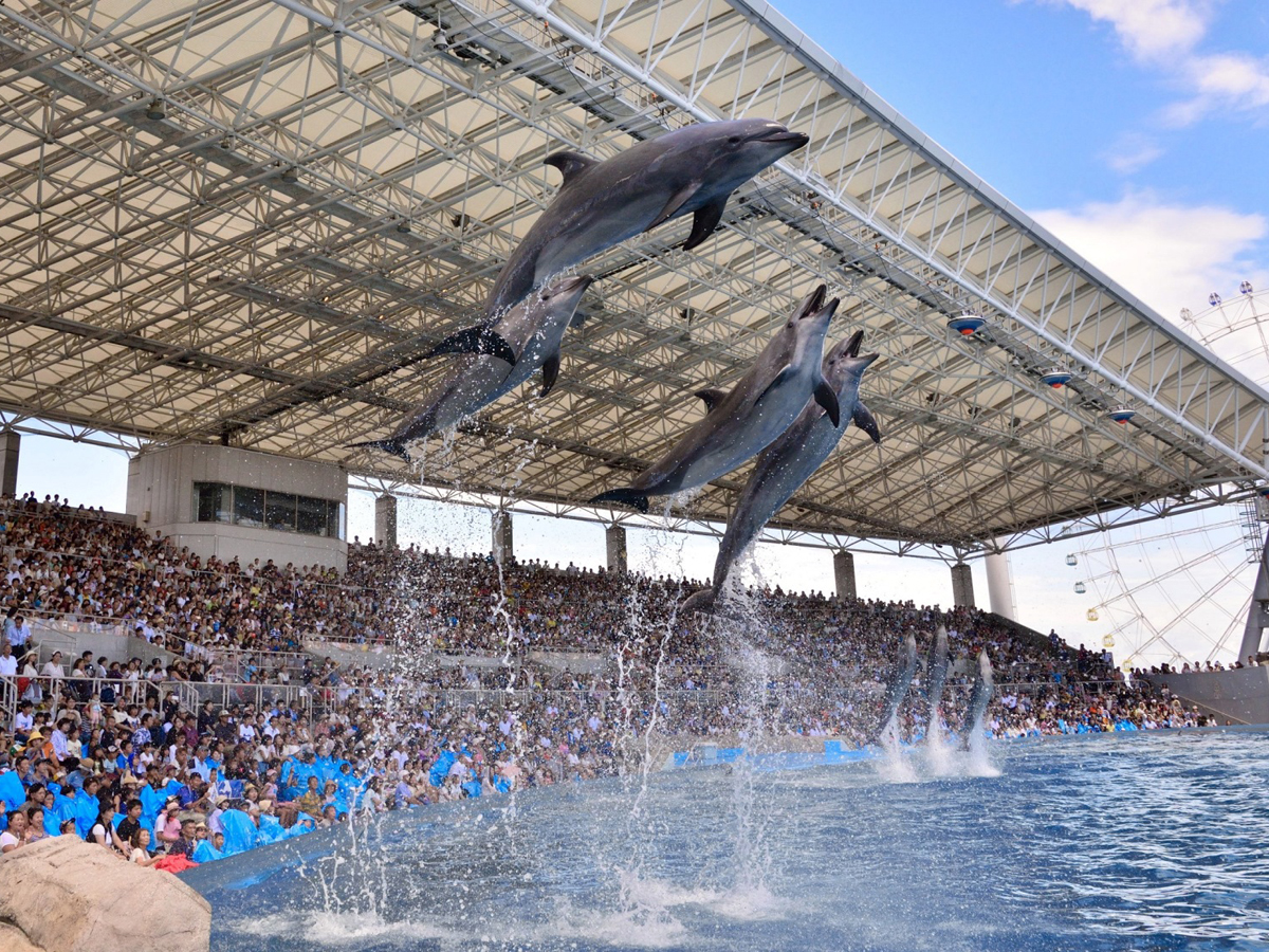 Port of Nagoya Public Aquarium