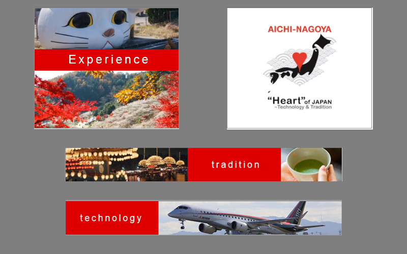 Aichi Now web campaign CNN banners