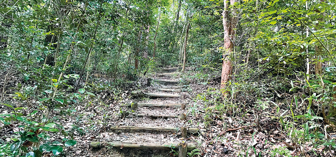 あいち海上の森センター