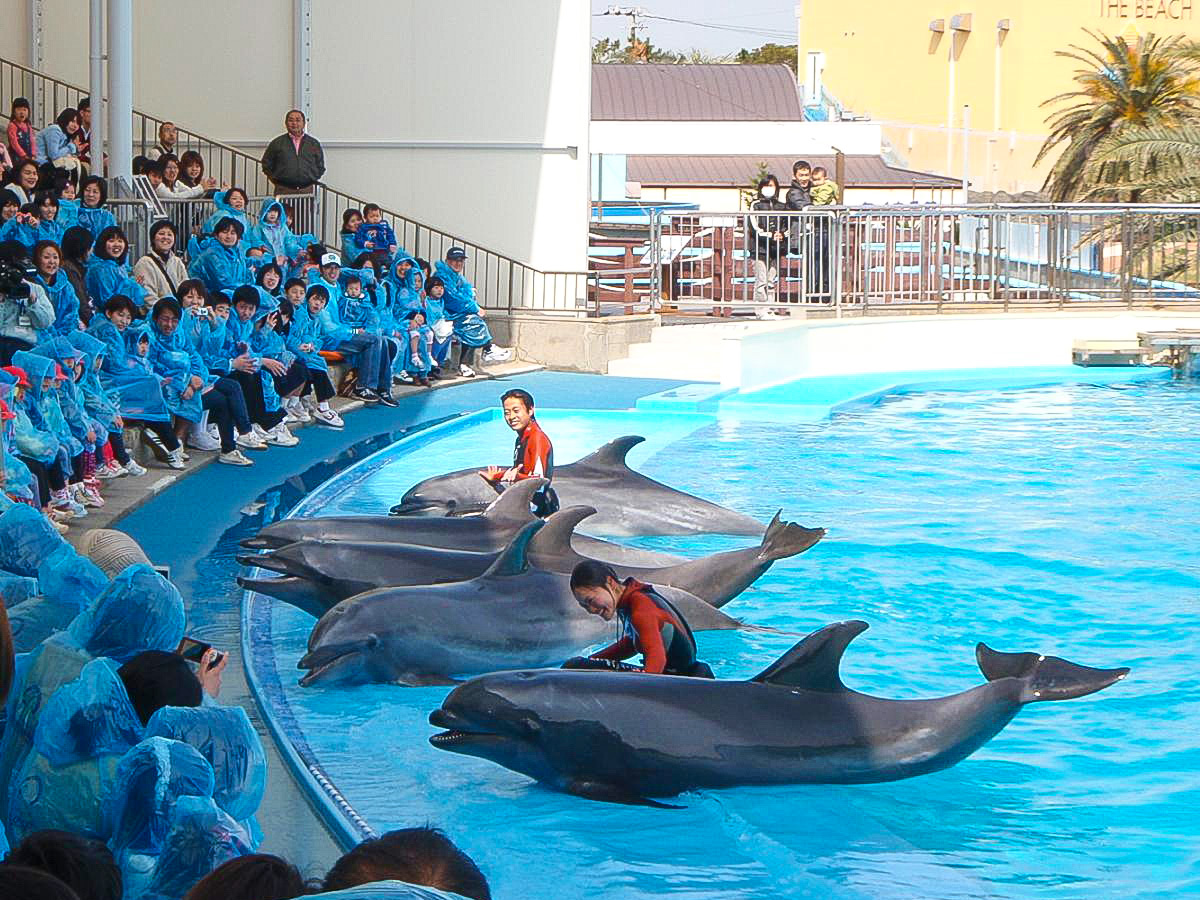 A Two Day, One Night Chita Peninsula Eating, Relaxing and  Sightseeing Course