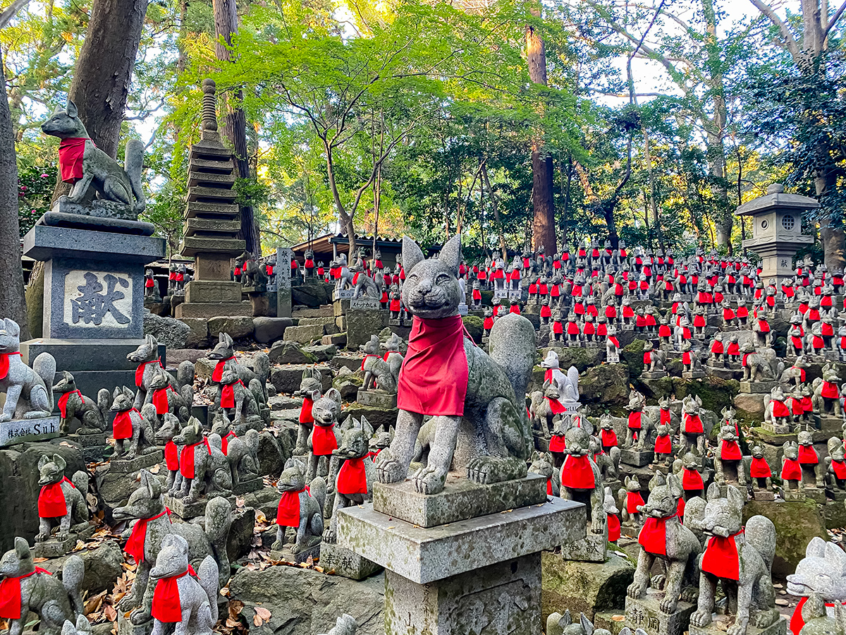 Traveling at the Boundary Where Nature and Human Life Intersect: Exploring Satoyama and Yamazato.