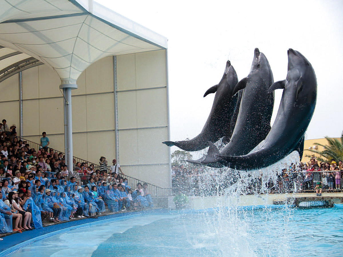 คอร์สโรแมนติกสำหรับคู่รักที่มินามิจิตะ