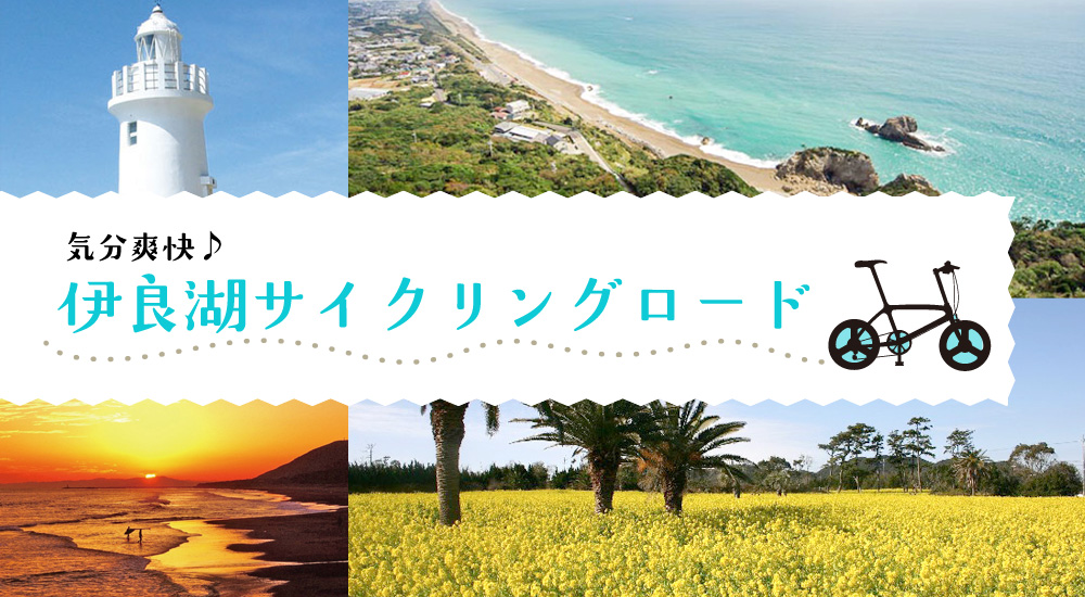 気分爽快♪伊良湖サイクリングロード