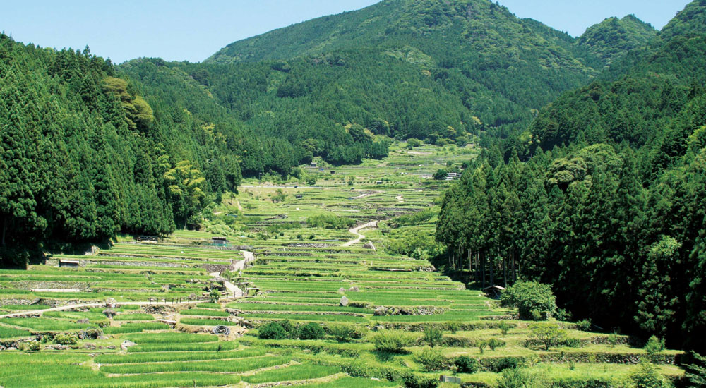 君が知らない愛知の大自然!絶景奥三河ドライブ