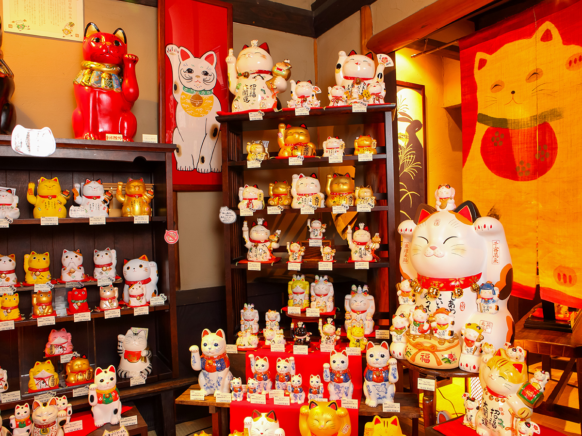 Embark on a Whimsical Journey Filled With Cats and Art.