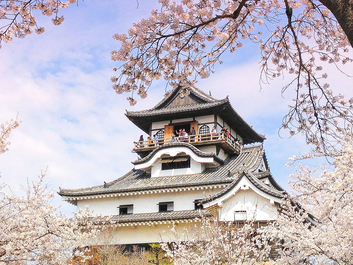 Spring surprises in northern Aichi