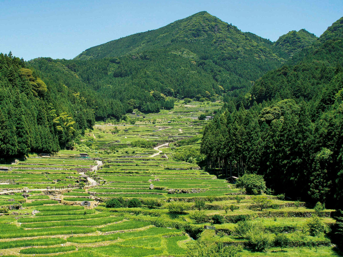 您不知道的愛知的大自然！在絕景奧三河自駕