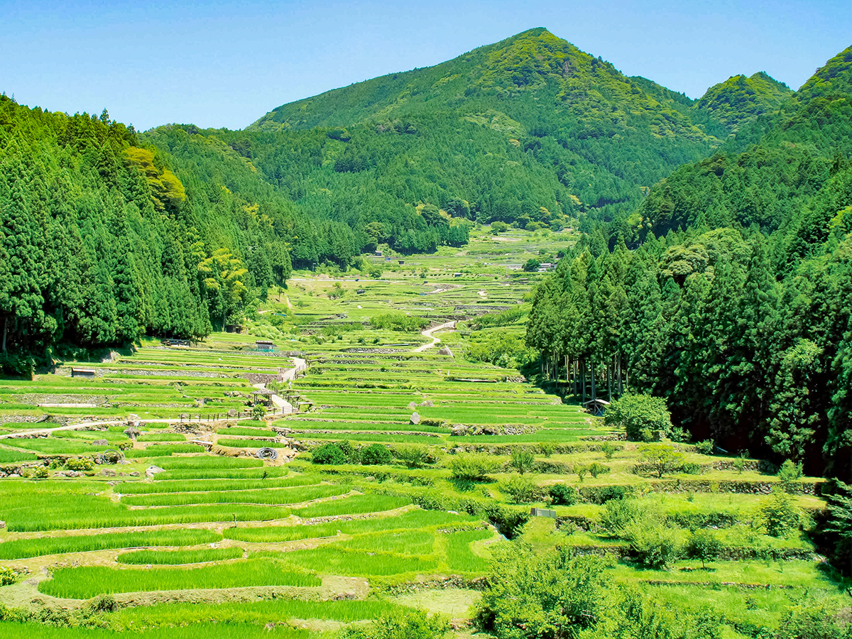 Beyond the Tunnel: A Mountain Village where Demons Dance All Night Long