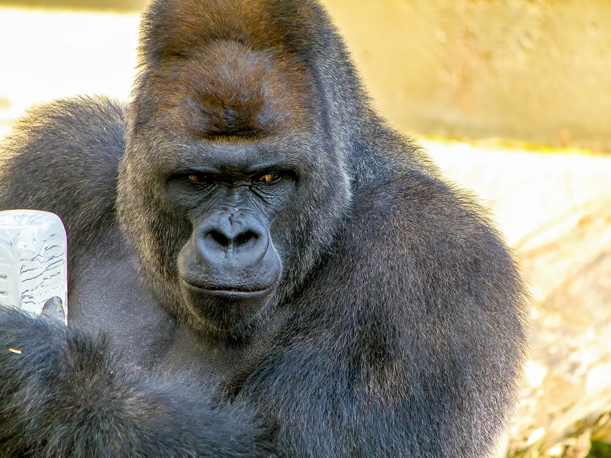 A Hit with  Kids: Encounter the Earth's Natural Inhabitants