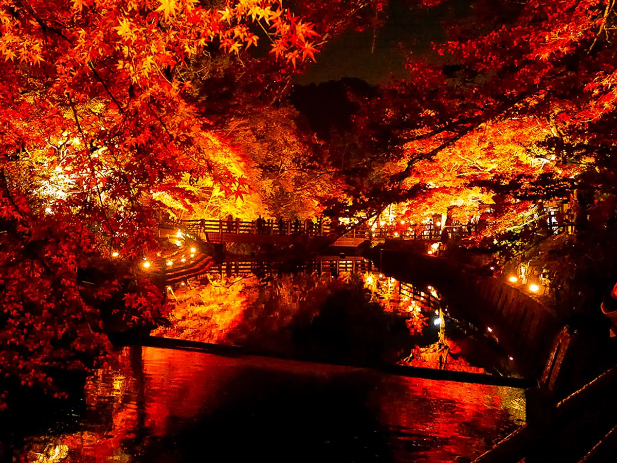 瀨戶陶瓷和紅葉之旅