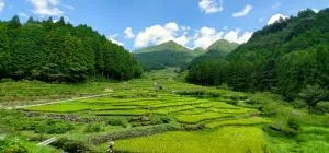 四谷の千枚田