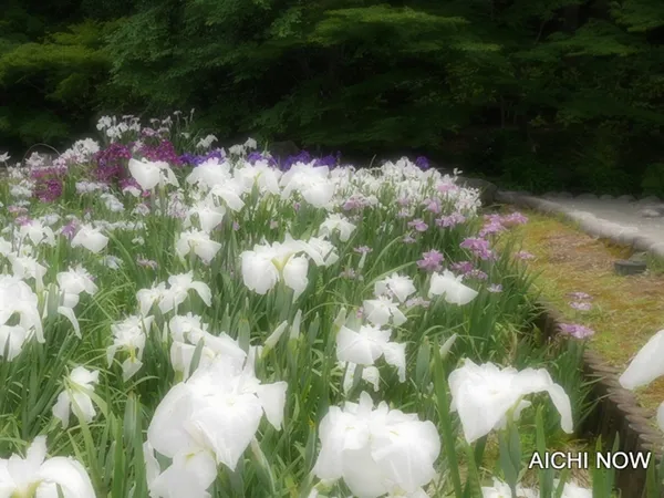 徳川美術館・徳川園