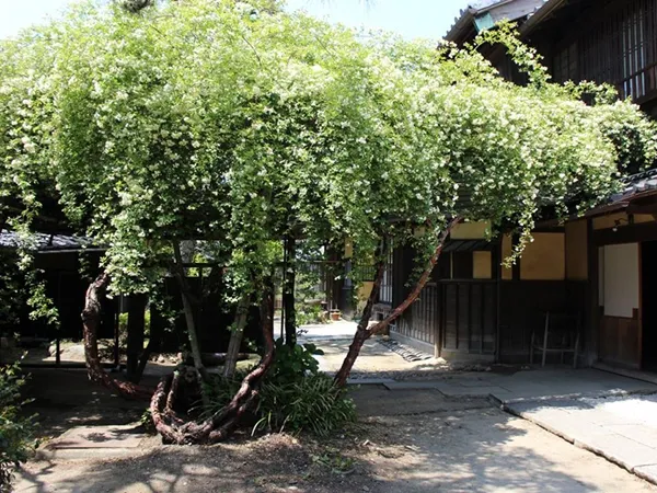 小栗家住宅