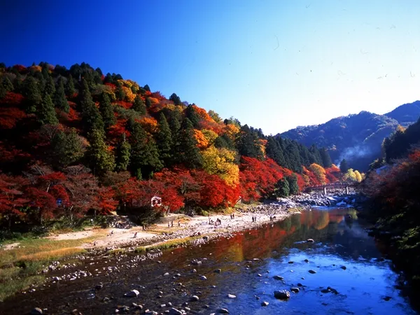 香嵐渓・足助城・三州足助屋敷・足助の町並み(重伝建の町並み)