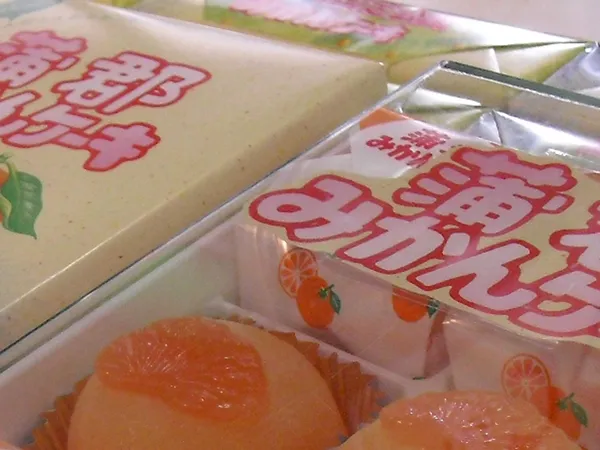 蒲郡オレンジパーク