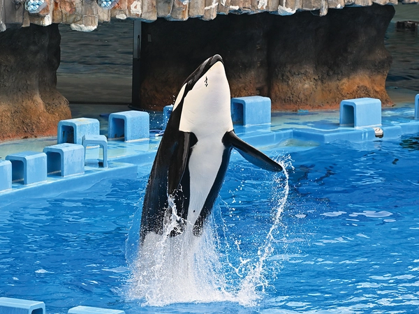 名古屋港水族館