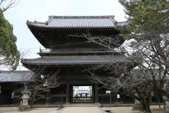 大樹寺