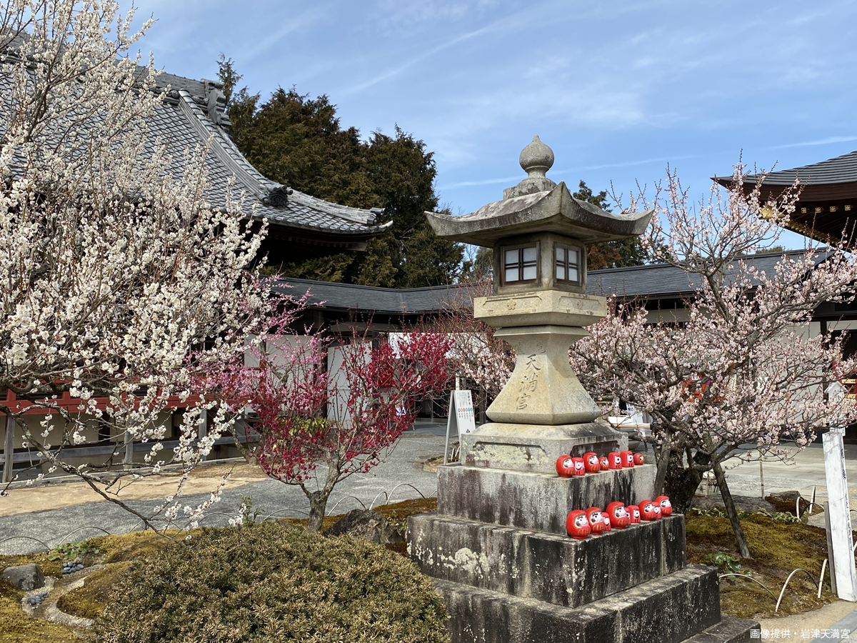 岩津天滿宮　梅花節
