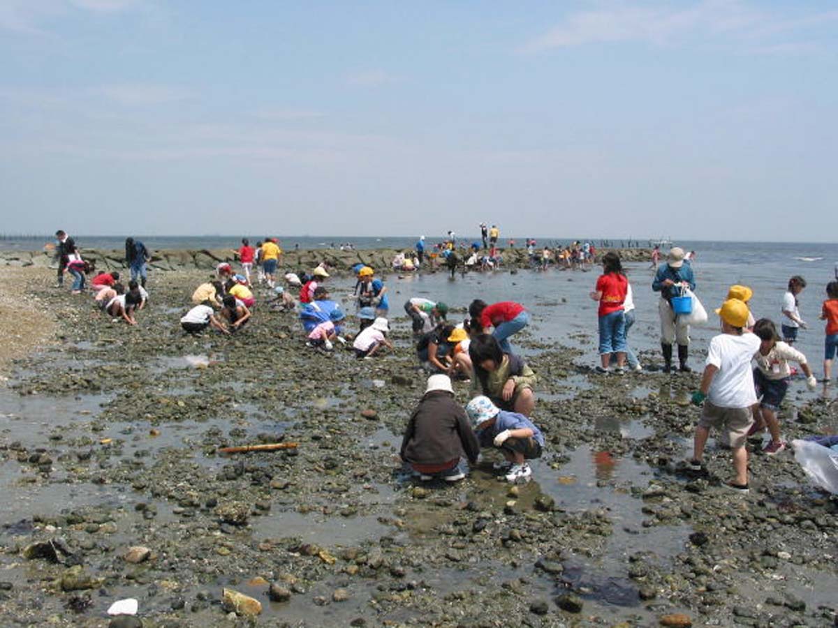 山田海岸 赶海