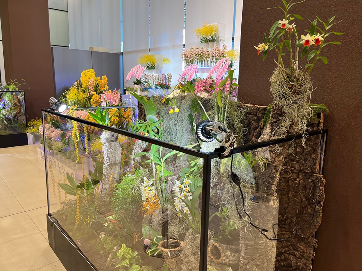 Tokai Flower Show