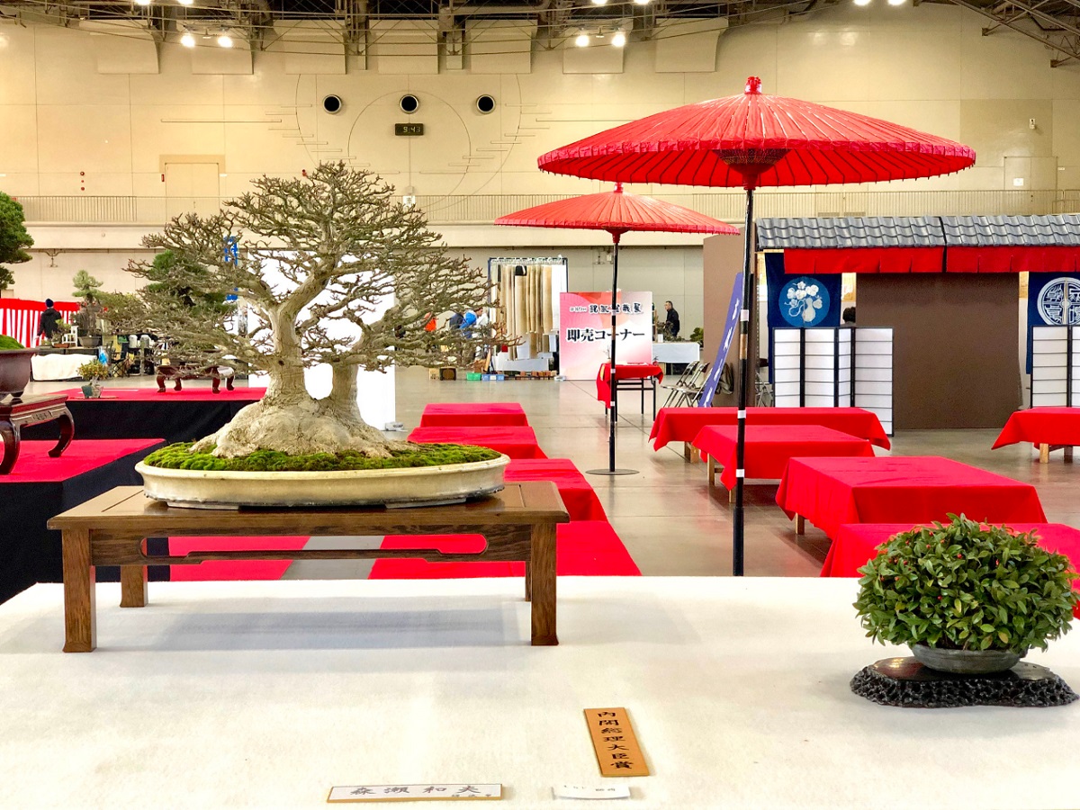 Meifu Bonsai Exhibition