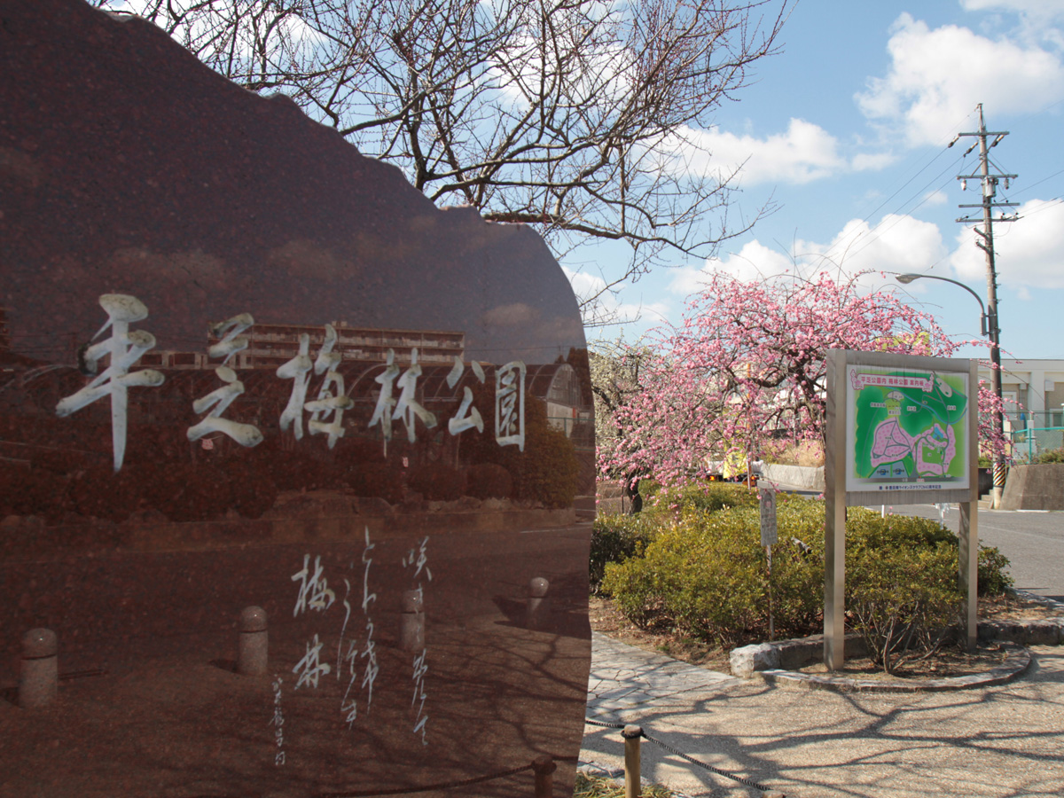 第15届平芝公園梅花節