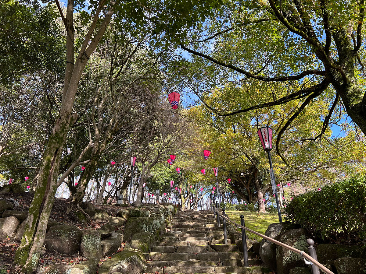 尾张旭・城山公园樱花节