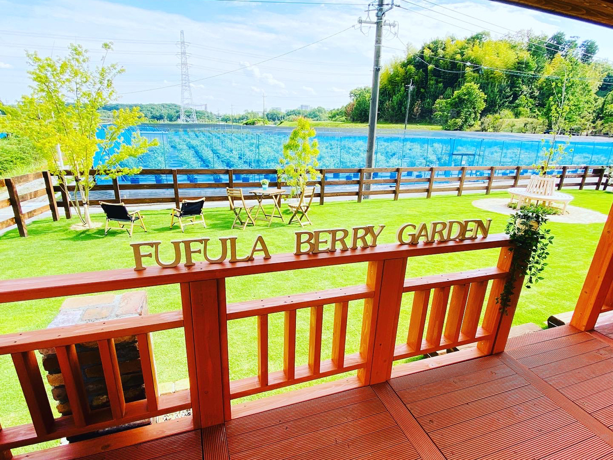 Fufula漿果園