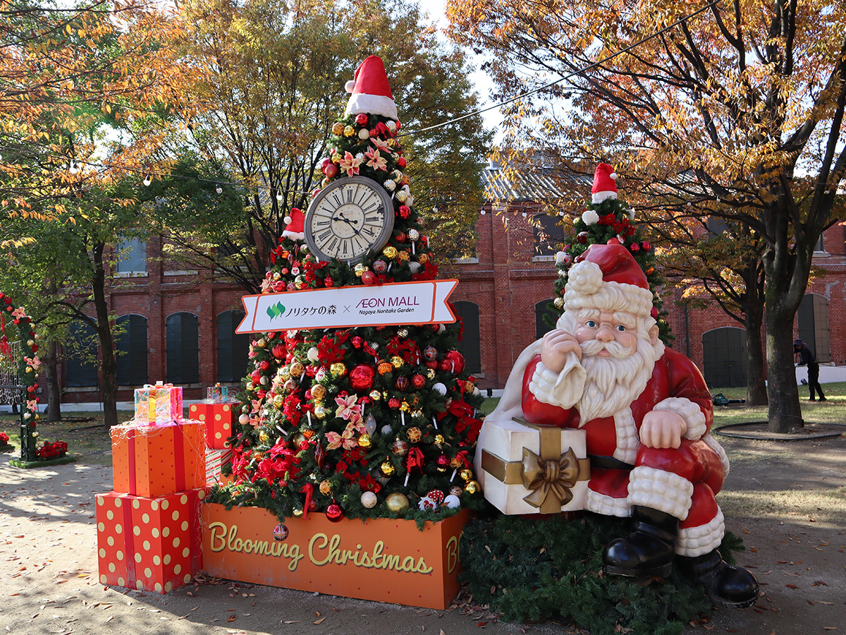 Blooming Christmas