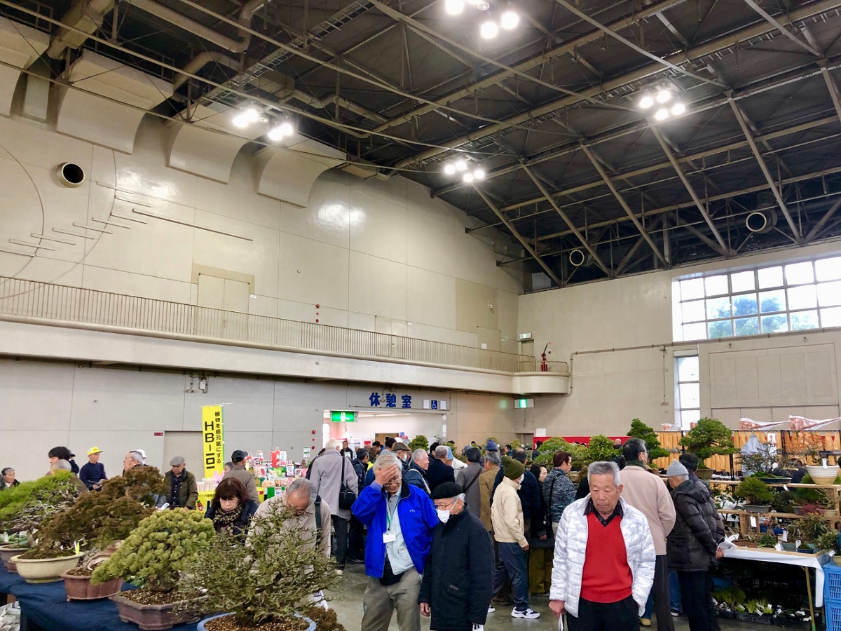 Meifu Bonsai Exhibition