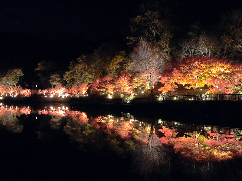 Dreams, Colors, and Discovery Fujioka Autumn Leaves Festival