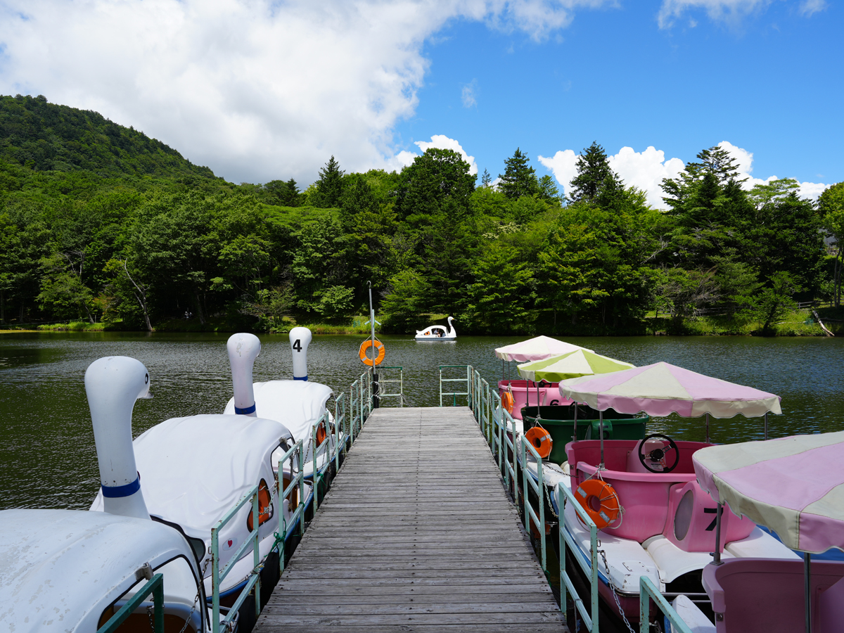 茶臼山高原 in summer