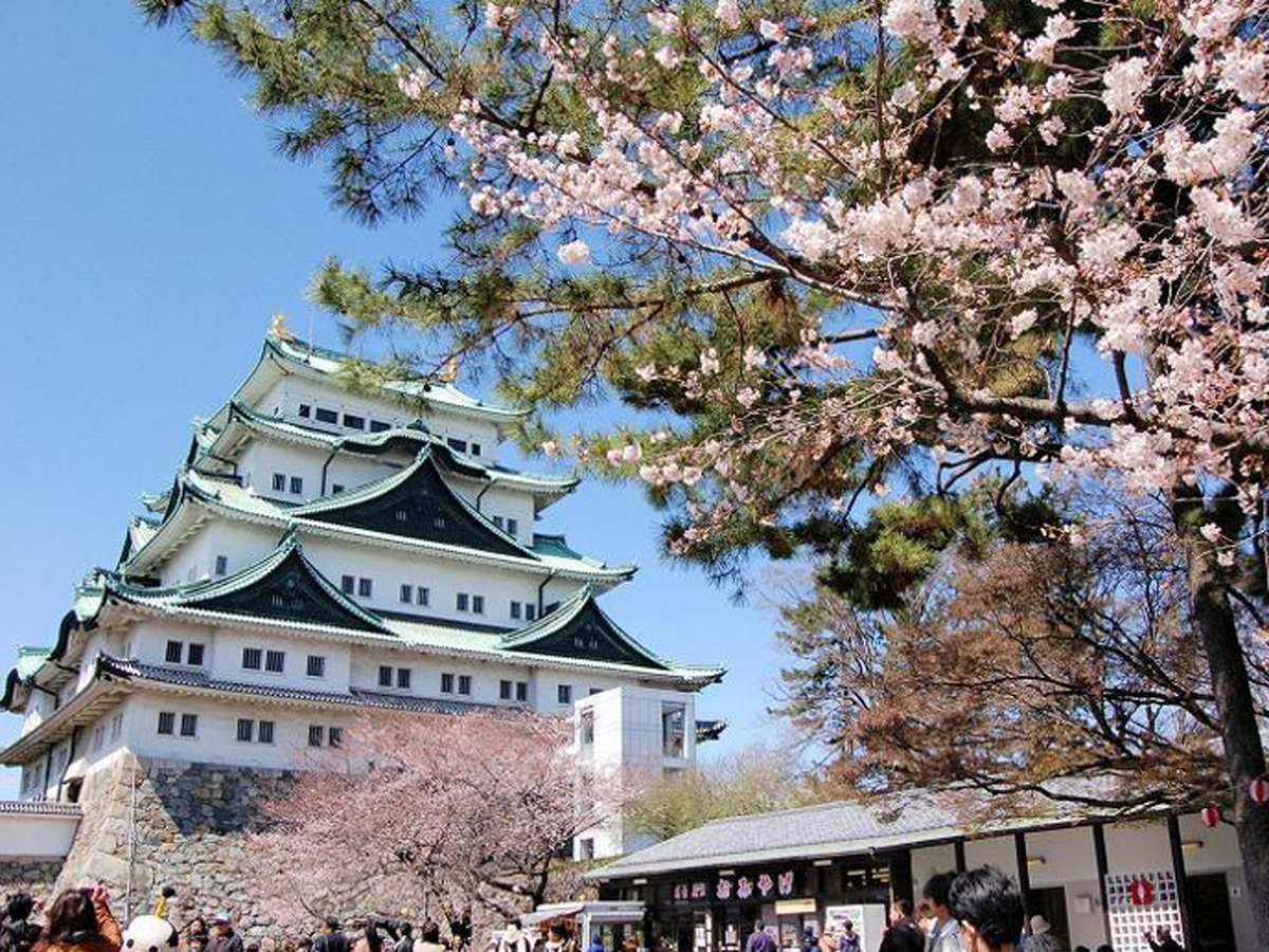 名古屋城 春季陣