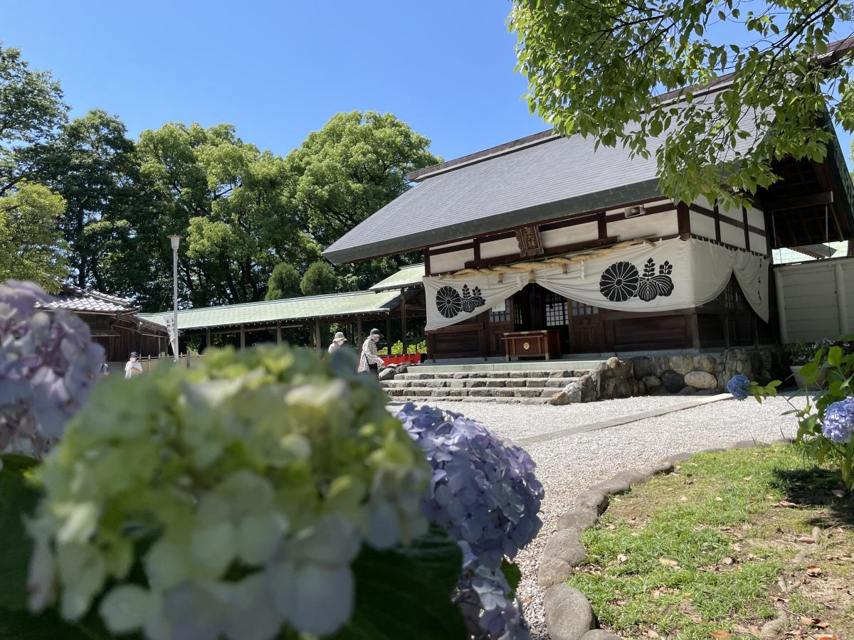 尾西紫阳花节