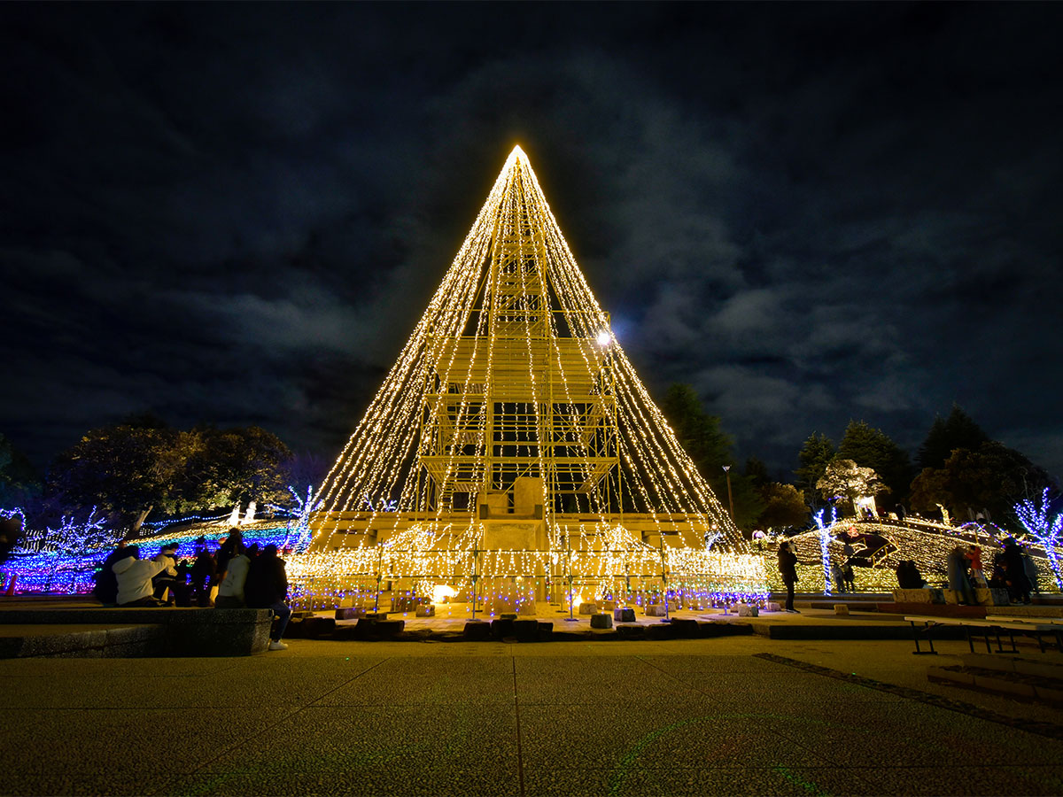 Chiryu Dream Light Display