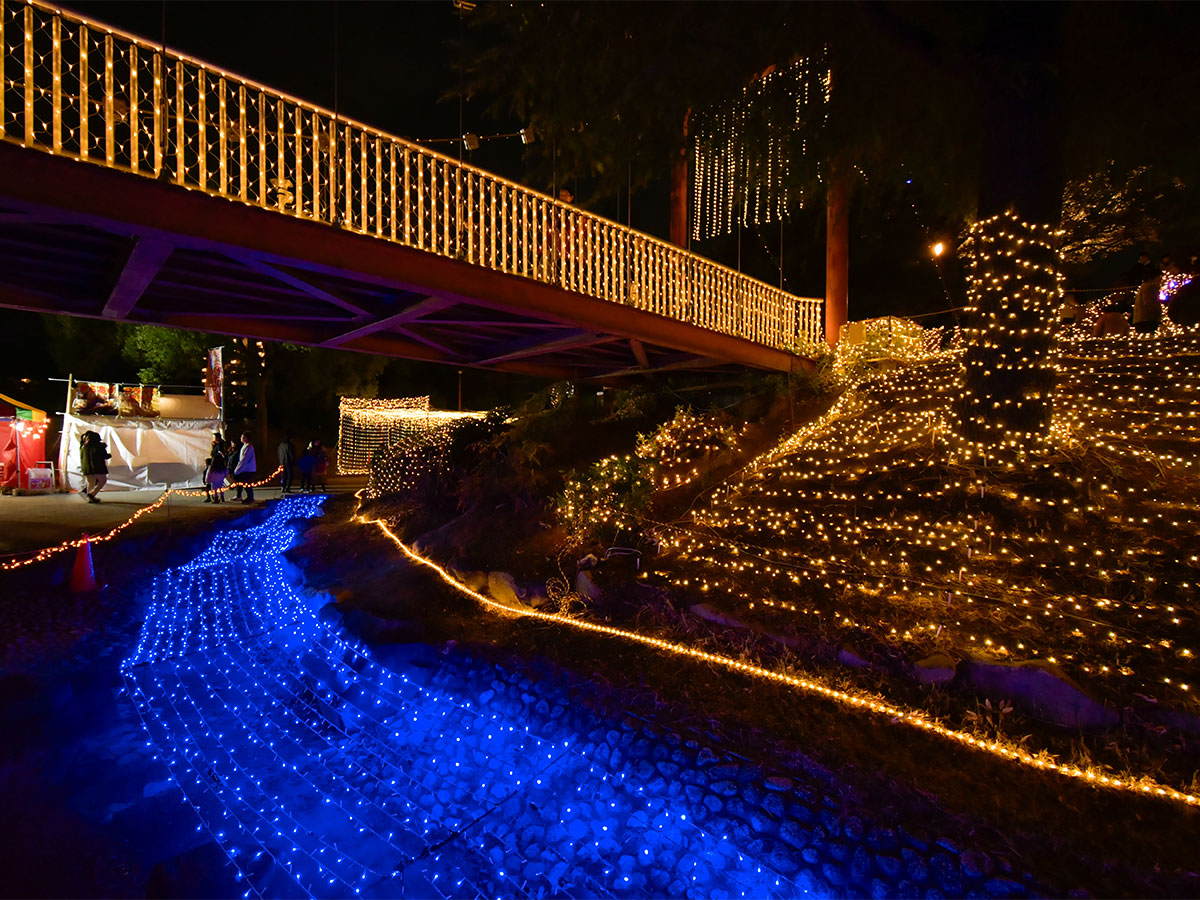 Chiryu Dream Light Display