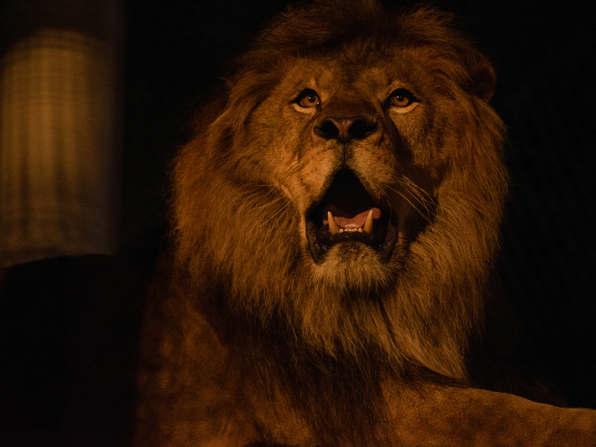 Night Zoo at Non Hoi Park