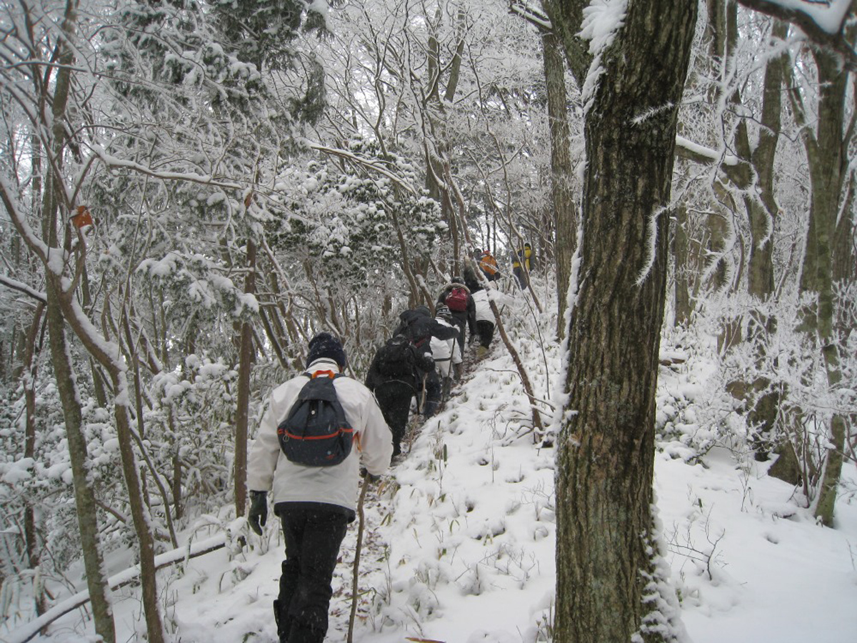 夏烧城山元旦登山