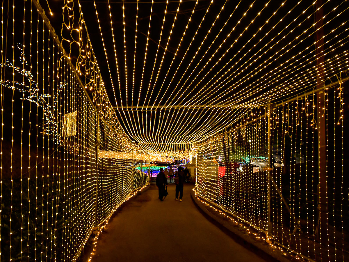 Chiryu Dream Light Display