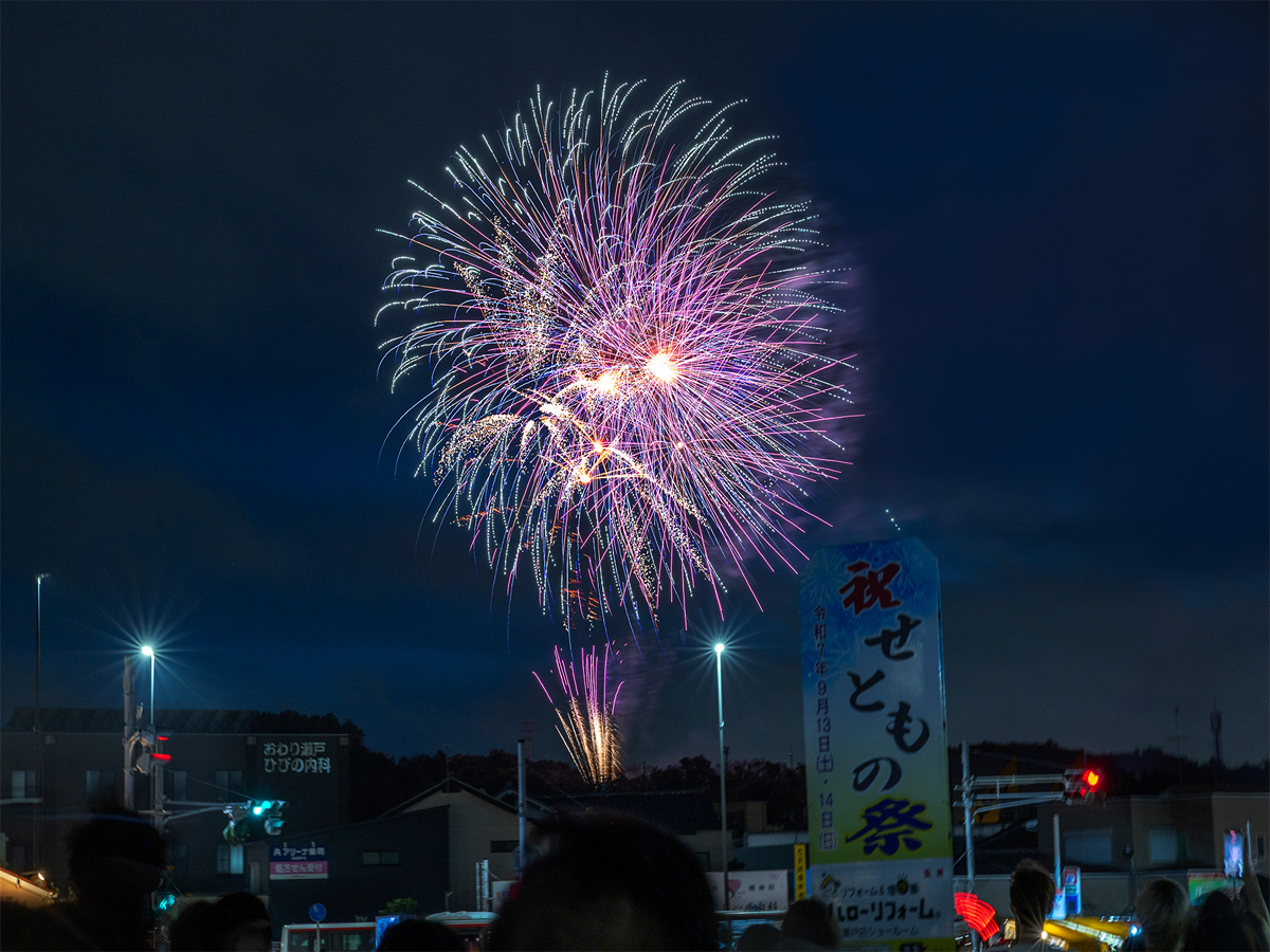 Seto Pottery Festival