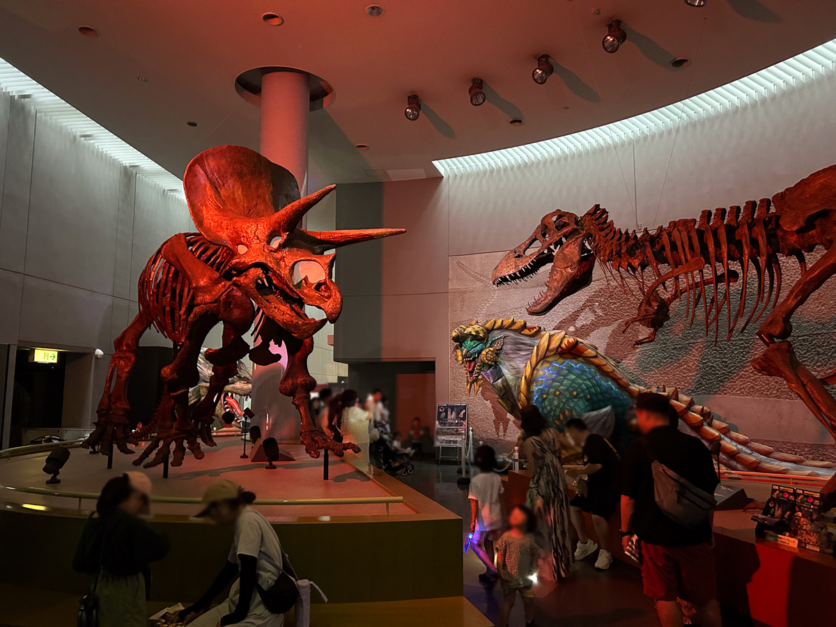 Night Zoo at Non Hoi Park