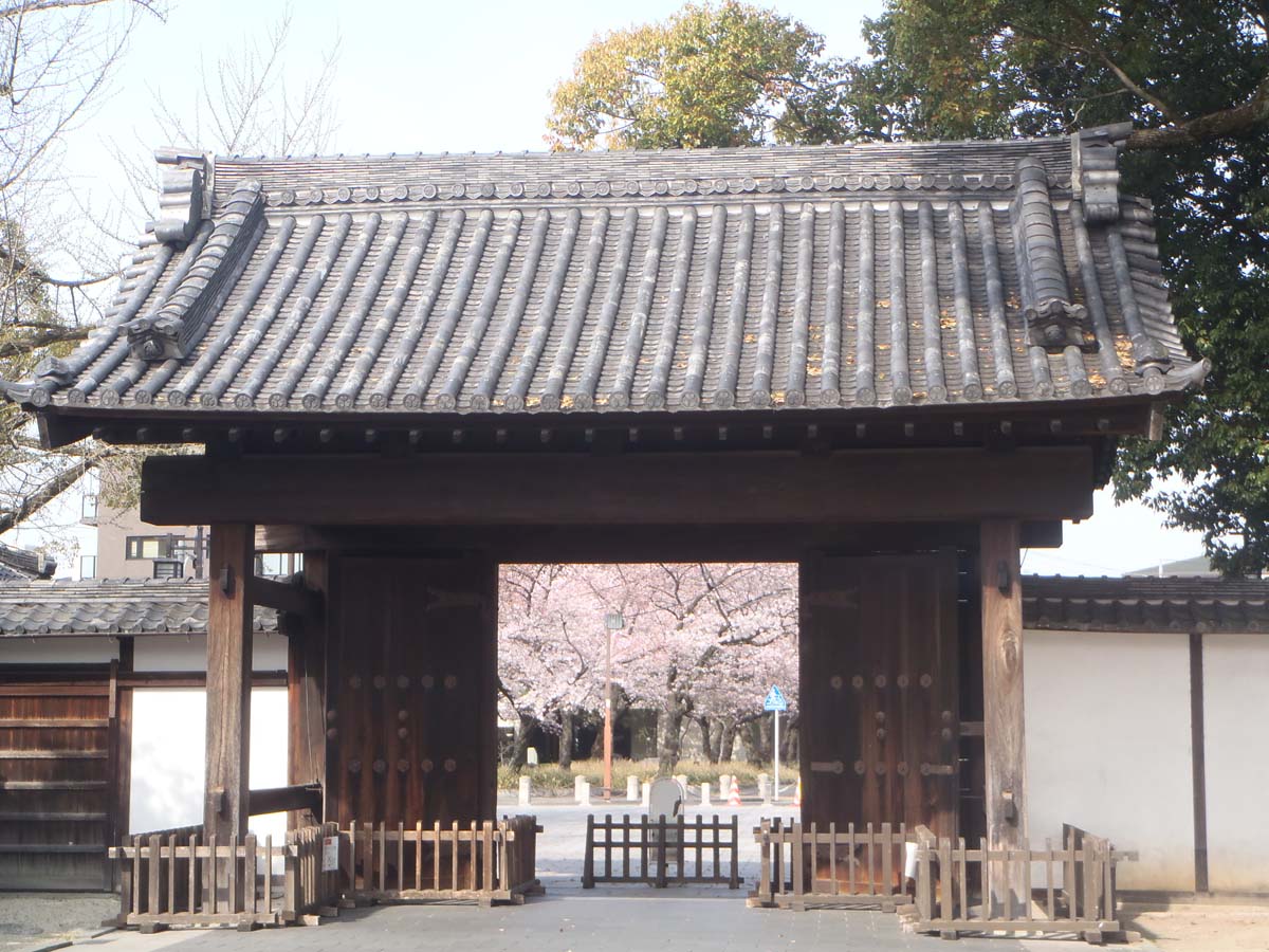 德川園 早春活動