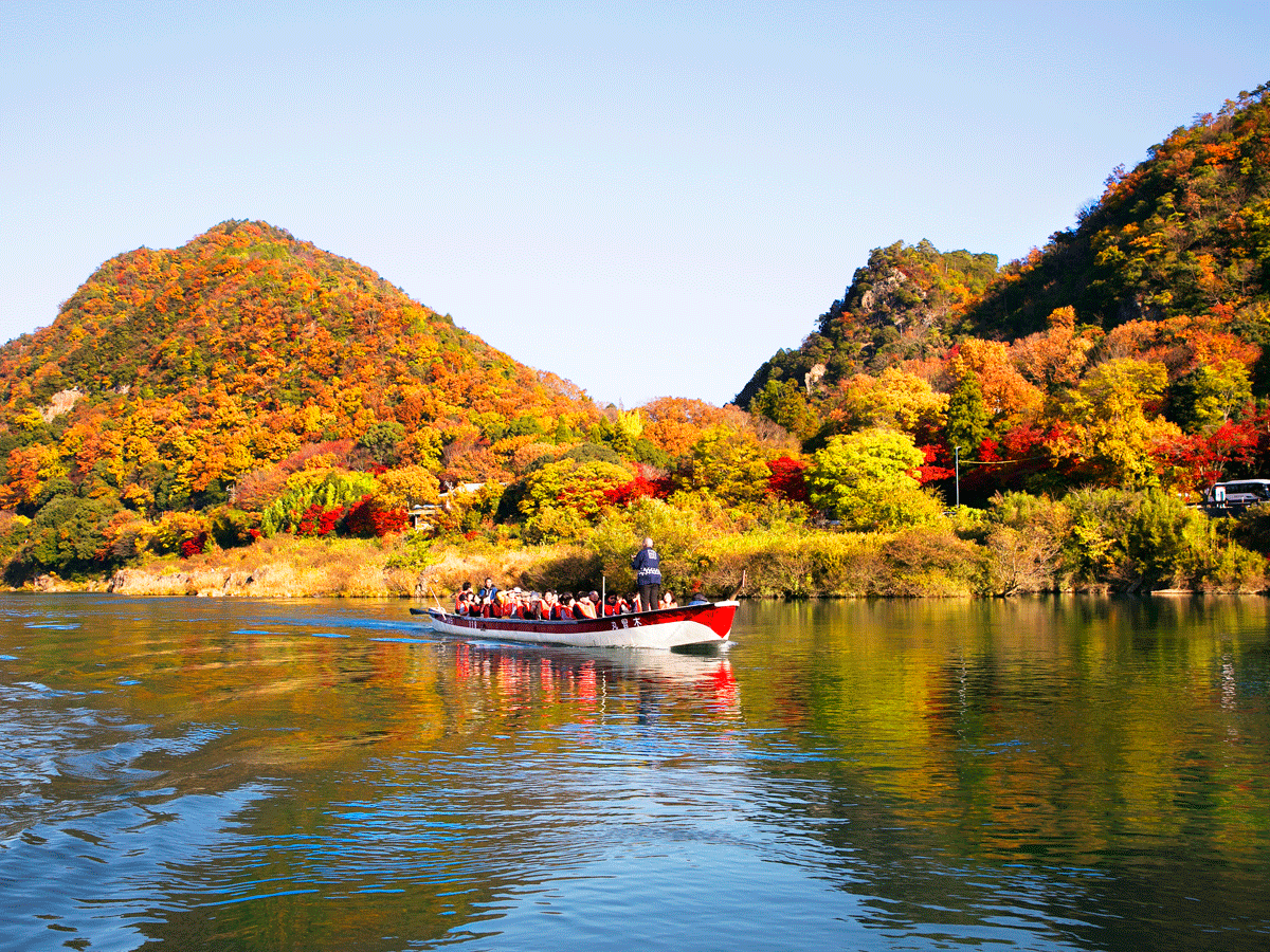 桃太郎红叶船