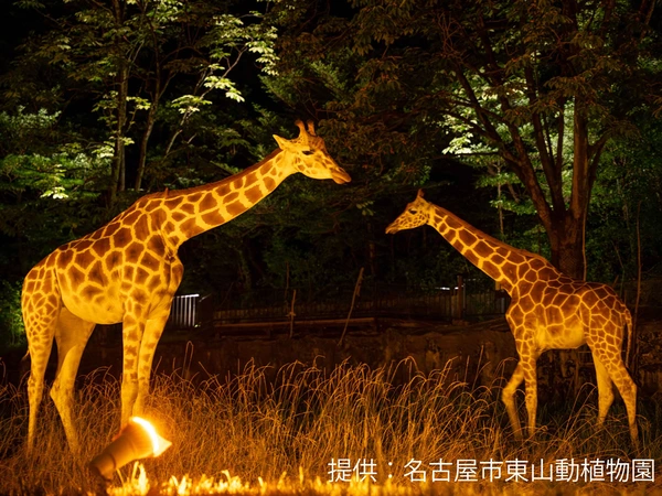 東山動植物園 夜間ZOO&GARDEN